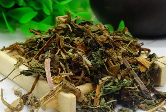 你不知道的蒲公英茶驚人功效