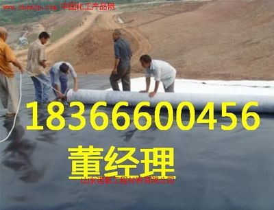 河北玻纖格柵廠家 諾聯高清圖片_產品圖_樣板圖 - 中國化工產品網